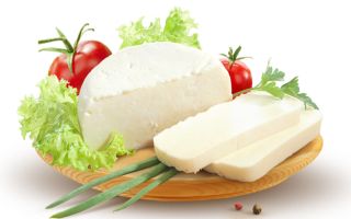 The benefits and harms of Adyghe cheese