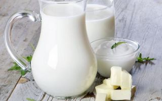 Lactose-free milk: benefits and harms, what does it mean