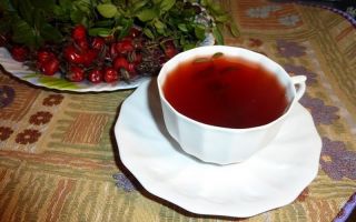 How to brew and drink lingonberry leaves during pregnancy