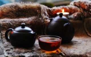 Pu-erh tea: useful properties and contraindications