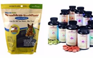 Vitamins for Shepherd Dogs: for joints, hair, raising ears, complex