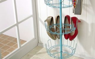 Shoe storage: in the hallway, closet, dressing room, ideas and photos