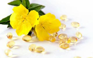 Minyak primrose petang: sifat dan kegunaan