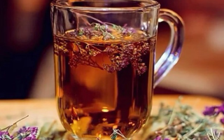 Thyme tea: useful properties and contraindications