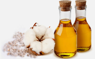 Useful properties of cottonseed oil and contraindications