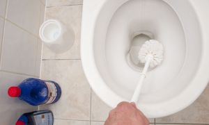 How to clean the toilet from limescale: folk and specialized remedies