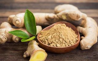 The benefits and harms of ginger for the health of men and women