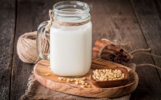 Cedar milk: benefits and harms, medicinal properties, contraindications