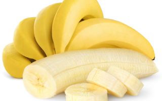 Why are bananas useful?