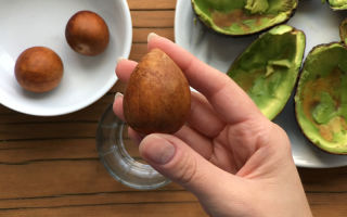 Is it possible to eat an avocado seed: benefits and harms to the human body