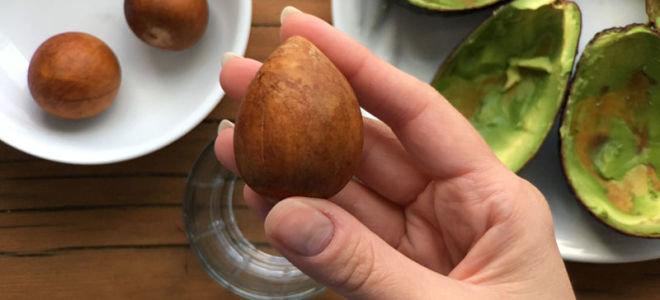 Is it possible to eat an avocado seed: benefits and harms to the human body