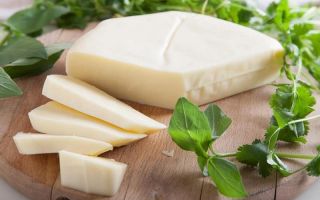 Why is suluguni cheese useful?