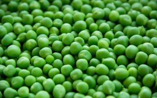 Why canned peas are useful, calorie content