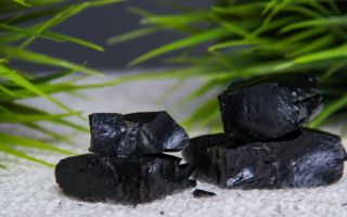 Shilajit: proprietăți utile și medicinale, contraindicații, cum să luați, instrucțiuni