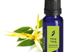 Ylang-ylang langis para sa buhok: mga pag-aari, repasuhin, kung paano gamitin