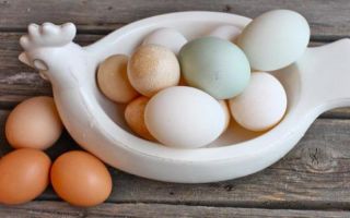 Why duck eggs are useful