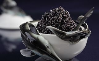 Black caviar: benefits and harms, chemical composition, contraindications