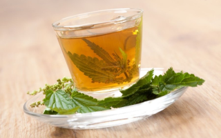 Useful properties of nettle tea and how to make it