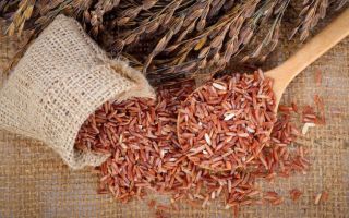 Why brown (brown) rice is useful and how to cook it correctly