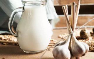 Milk with garlic: what helps, what heals, useful properties