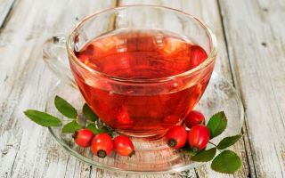 Infusi Rosehip: kebaikan dan keburukan, cara memasak