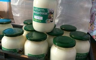 Why is yogurt useful, a recipe with a photo