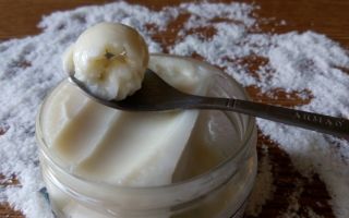 Why is coconut paste useful: composition, calorie content, application