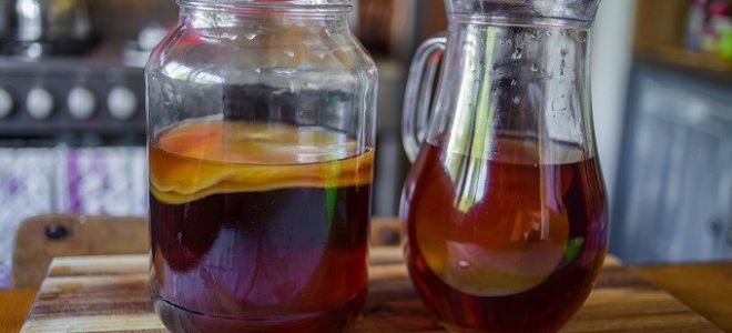 The benefits and harms of kombucha, how to grow it at home