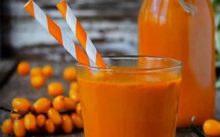 Why sea buckthorn juice is useful, how to make it at home