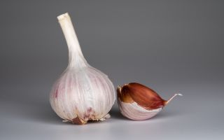 What is garlic useful for the body, folk remedies, reviews