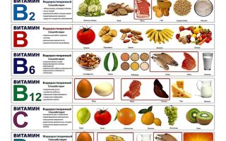 Vitamins for vegetarians: women, men and children