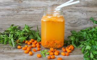 Why sea buckthorn juice is useful for health