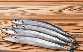 Why saury is useful