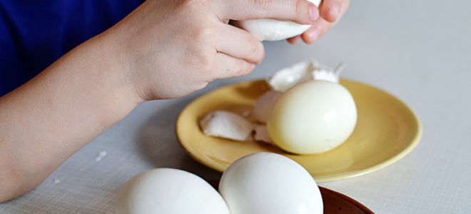 How are chicken eggs useful?