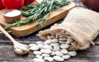 Why white beans are useful, properties and preparation