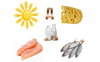 Vitamin D in a man's body: how to increase, what is it for