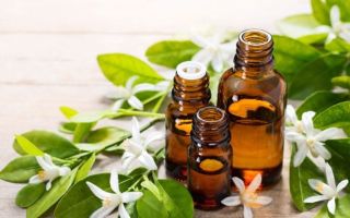 Neroli essential oil: properties for the skin of the face and hair, composition, reviews of cosmetologists