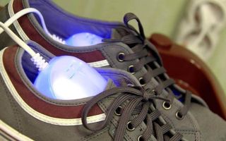 How to remove odor from shoes: folk and specialized methods