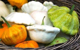 What are the benefits of squash for health, contraindications