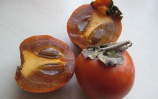 Persimmon kinglet: benefits and harms, calorie content, vitamin content