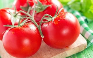 Mengapa tomato berguna untuk badan