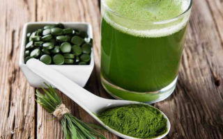 Chlorella: useful properties and contraindications, reviews.