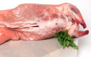 Why nutria meat is useful, the healing properties of fat