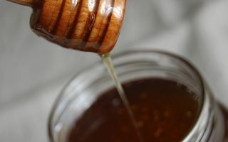 Blackened honey: useful properties and contraindications