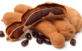 Cum se mănâncă fructe de tamarind: descriere, beneficii și efecte negative asupra sănătății, aplicare, cum se păstrează, fotografie