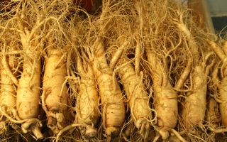 Tinctura de ginseng, proprietăți pentru bărbați și femei, cum să luați