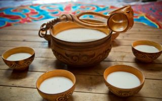 The benefits and harms of kumis for the body