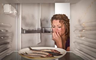 How to remove fish smell from the refrigerator