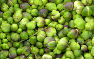 Useful properties of capers for health: composition, calorie content