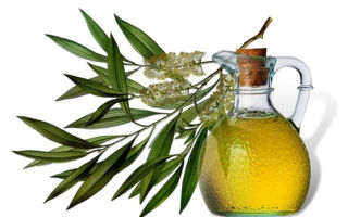 Properties and instructions for use of tea tree essential oil